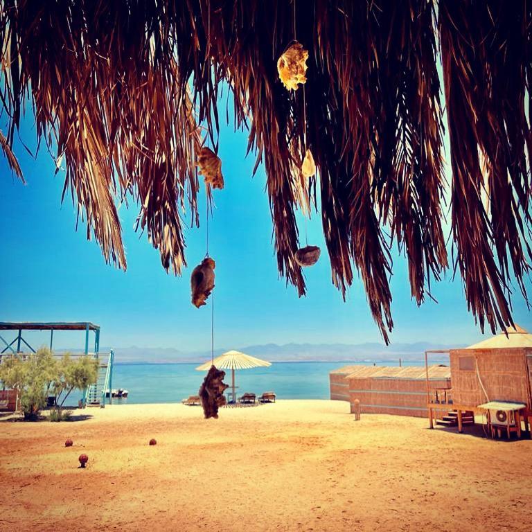 Half Moon Camp Hotel Таба Екстериор снимка